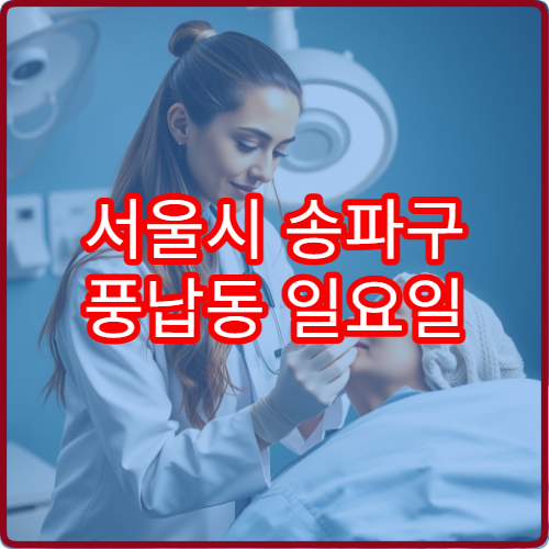 서울시 송파구 풍납동 일요일 안과 진료 병원 눈 통증