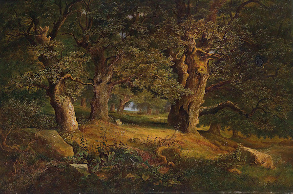 Waldlandschaft