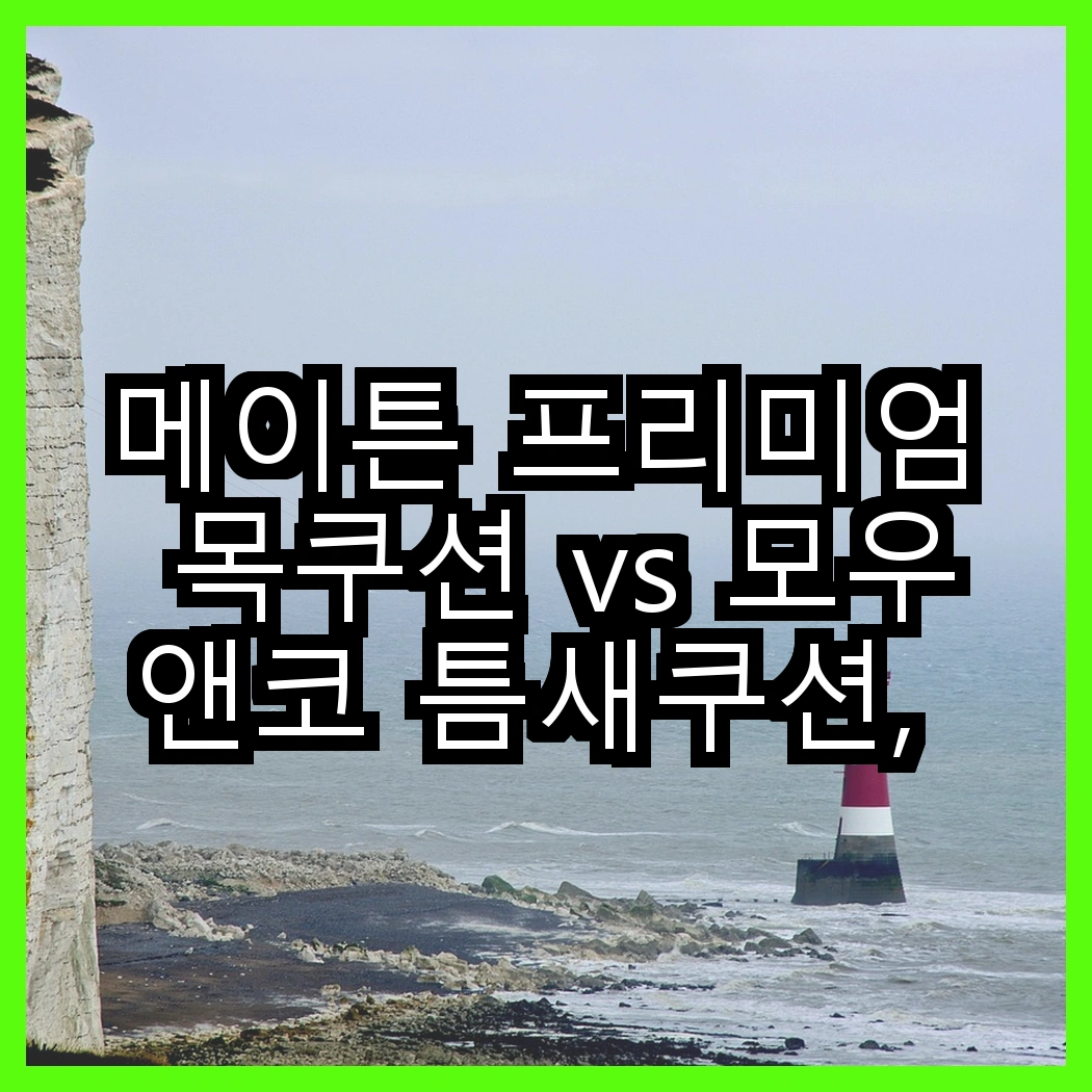 메이튼 프리미엄 목쿠션 vs 모우앤코 틈새쿠션, 어떤 편안함이 더 마음에 드나요? 썸네일