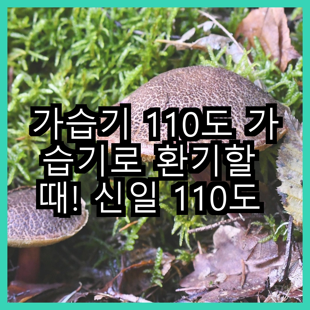 가습기 110도 가습기로 환기할 때! 신일 110도 대용량 물멍 가습기와 신일 유리 가열식 모델의 특별한 기능은? 썸네일