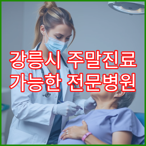 강릉시 주말진료 가능한 전문병원 토요일 오전 예약 팁
