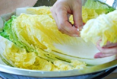 Tiếp đó, bạn lấy 1/2 lượng muối còn lại cho vào từng lá bắp cải, thoa thật đều khắp nha. Cứ trải đều muối vào hết bắp cải như vậy và để từ 6 - 8 tiếng cho cải thảo xìu xuống.