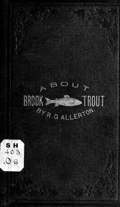 brook trout fishing