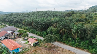 Tanah Pertanian 11 Ekar Jenderam Hulu, Dengkil — foto 2/10