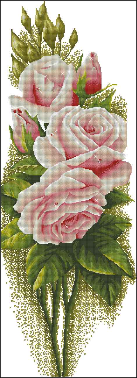 CMP 170933 Roses