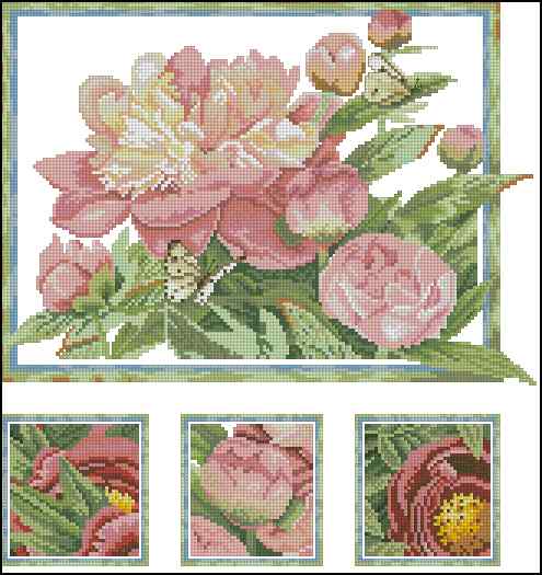 CMP 170219 Romantic Flowers