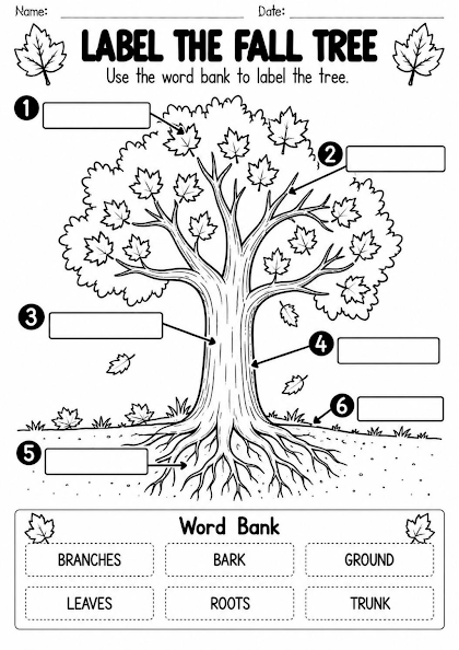 Parts of a Fall Tree Worksheet