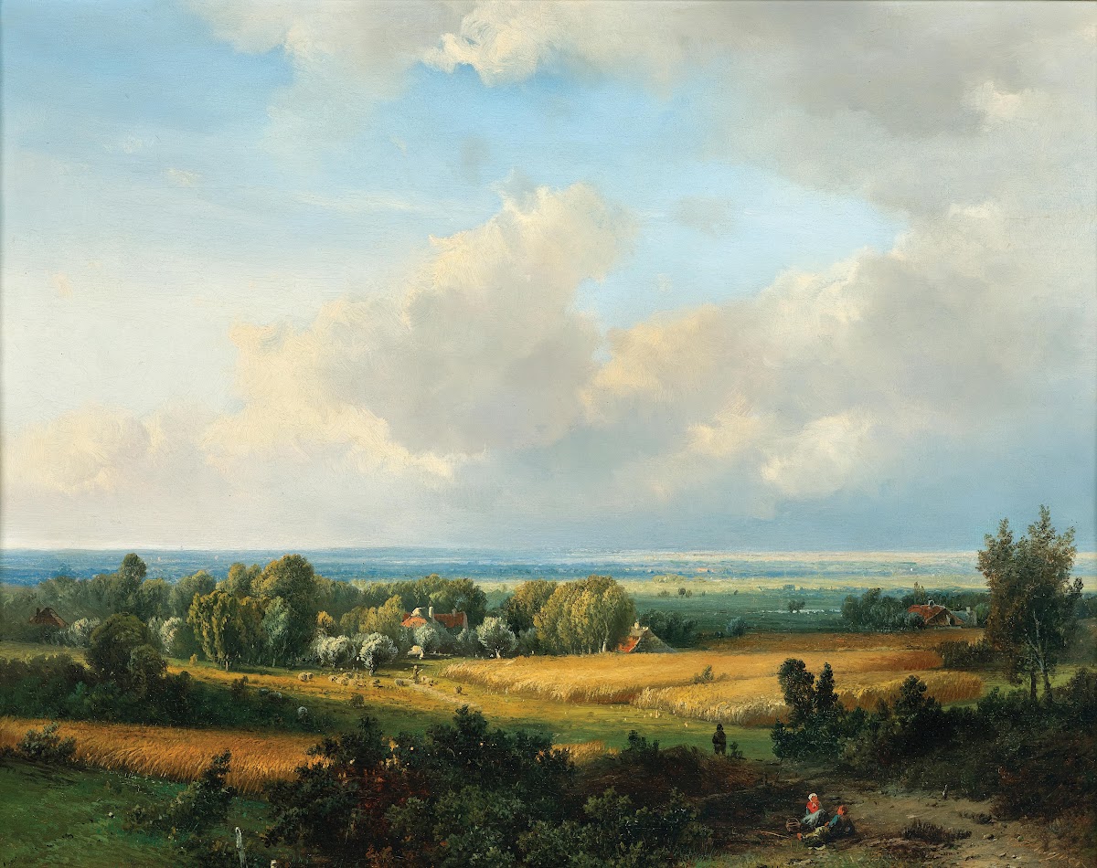 A Vast Summer Landscape