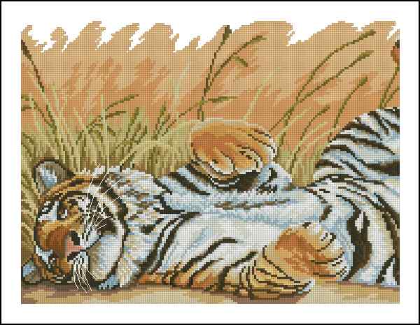 CMP 400028 Tiger Siesta