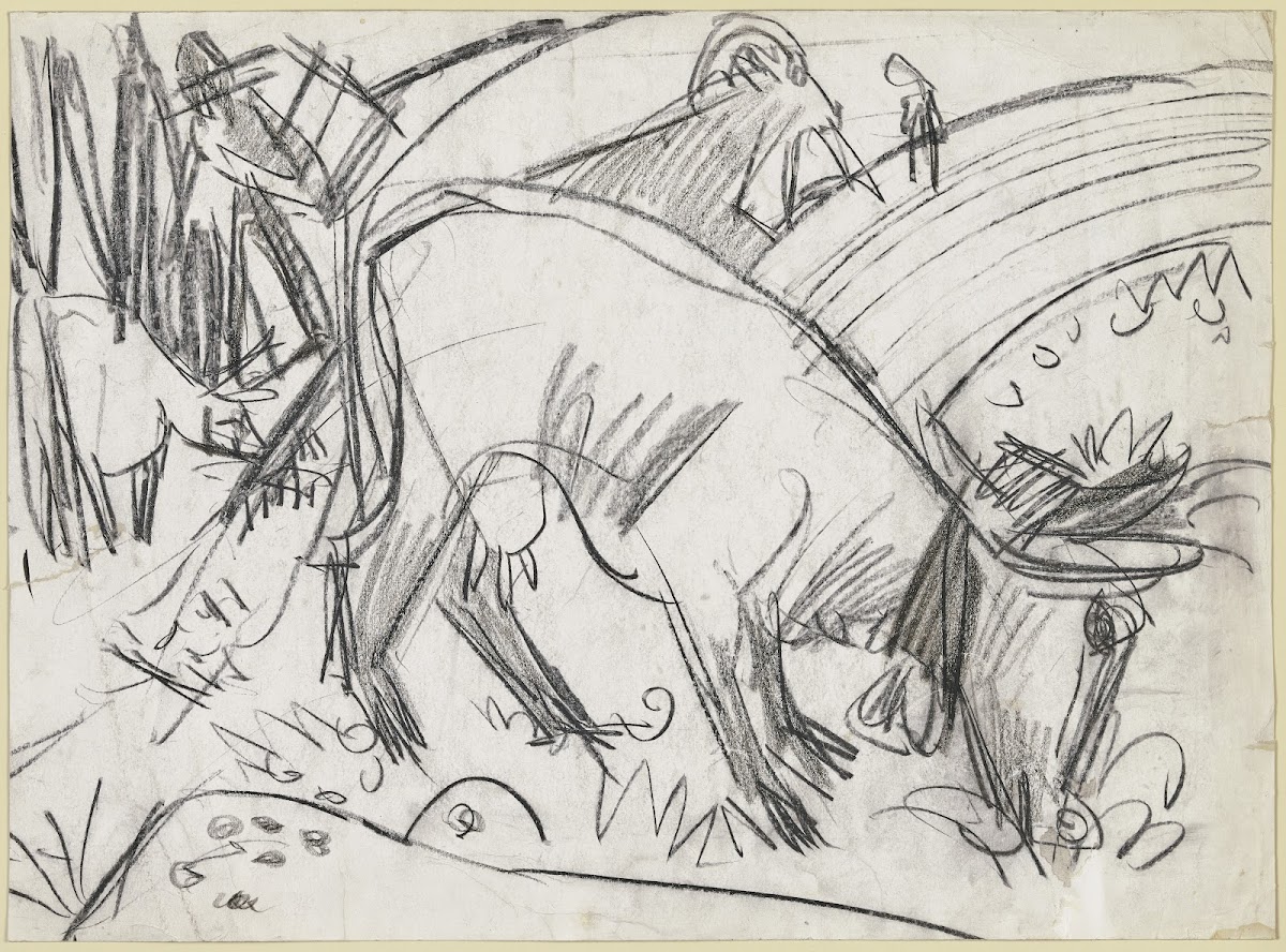 Grazing cow ca 1918
