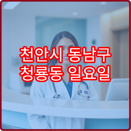 천안시 동남구 청룡동 일요일 피부과 진료 병원 여드름 염증 상담