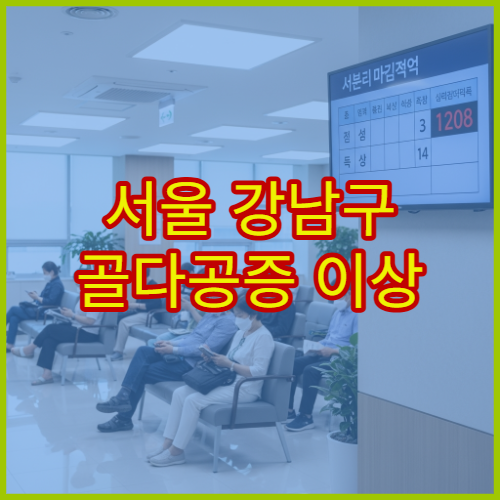 서울 강남구 골다공증 이상 증상 검사 치료 가능한 강남구 병원