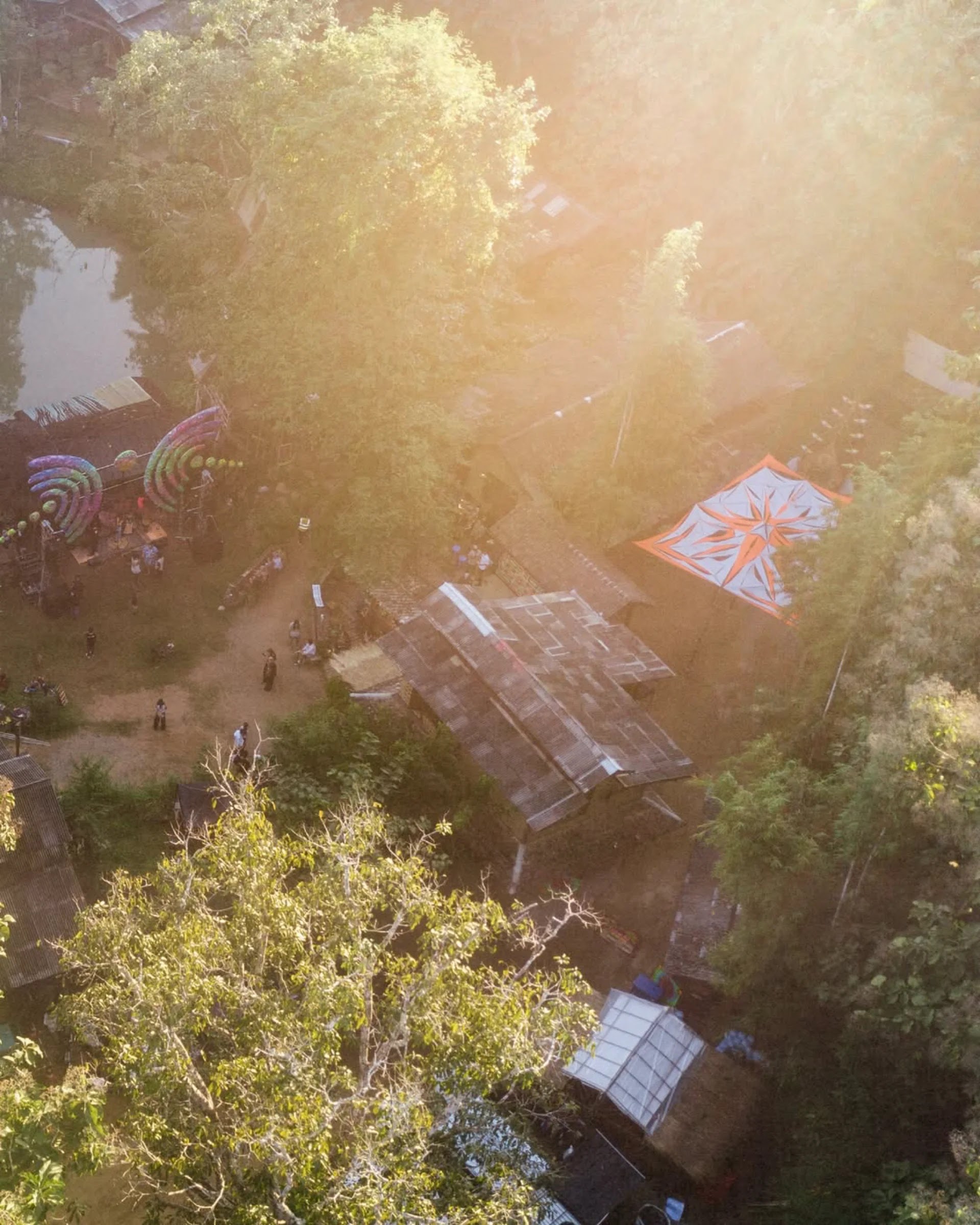 Mycelium Festivalの会場の様子