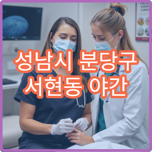 성남시 분당구 서현동 야간 소아과 진료 가능한 병원 아이 야간 진료 정보