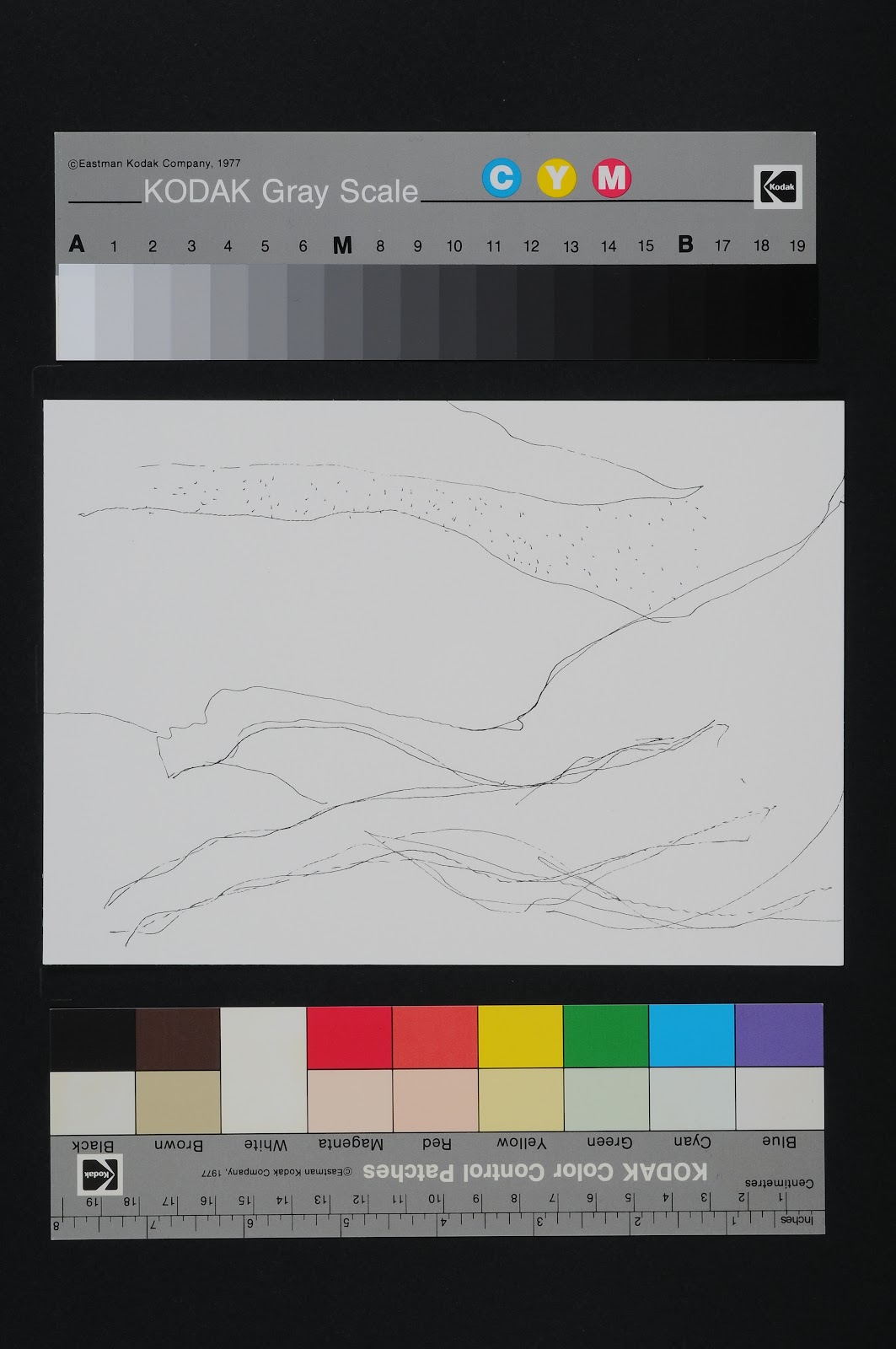 Drawn Poems