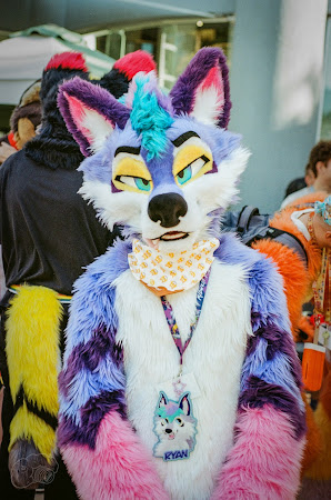 furdu-22 (1).jpg