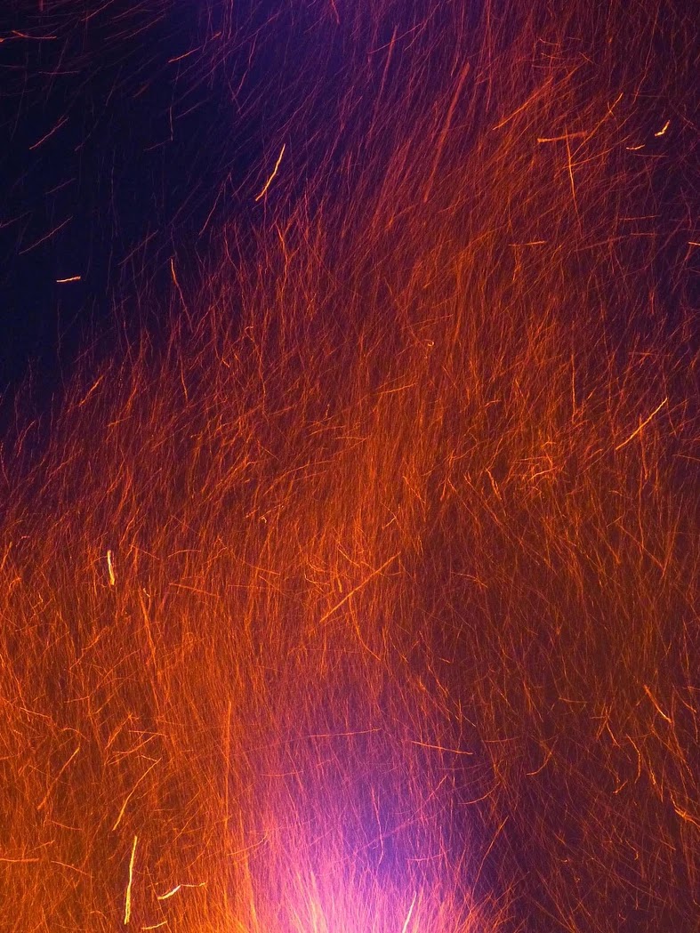 화재보험 보험료 절약을 위한 특약 활용법과 조건 비교