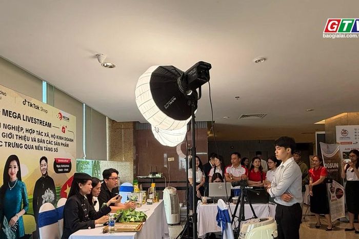 Triển lãm các giải pháp mô hình ứng dụng thương mại điện tử - Báo Gia Lai