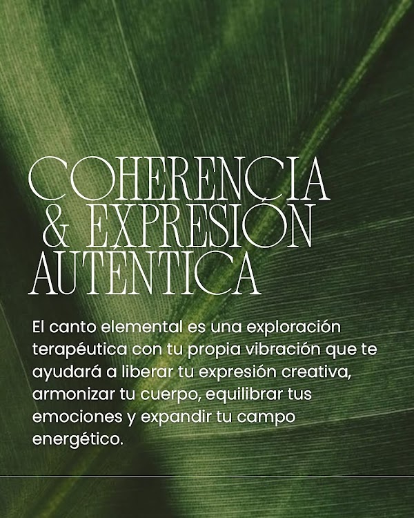 ✨🌀CANTO ELEMENTAL🌀✨