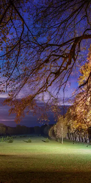 Night Landscape, Autumn Trees, Park Scene, Outdoor Lighting 4K Wallpaper Background