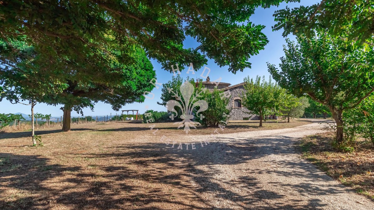 קאזאלה פוג'ו אוליבלה (Casale Poggio Olivella) — 4