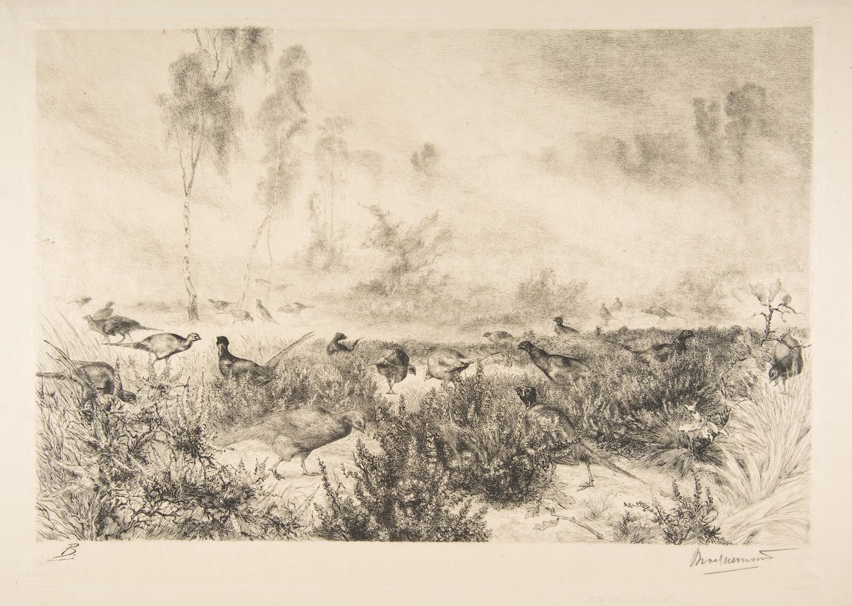 Brumes du matin 1882