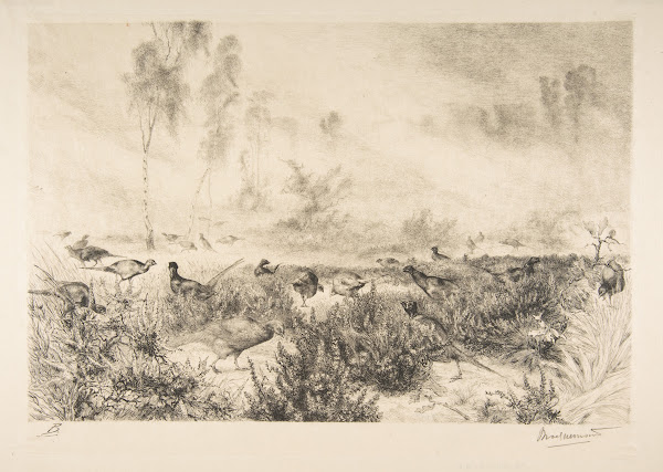 Brumes du matin 1882