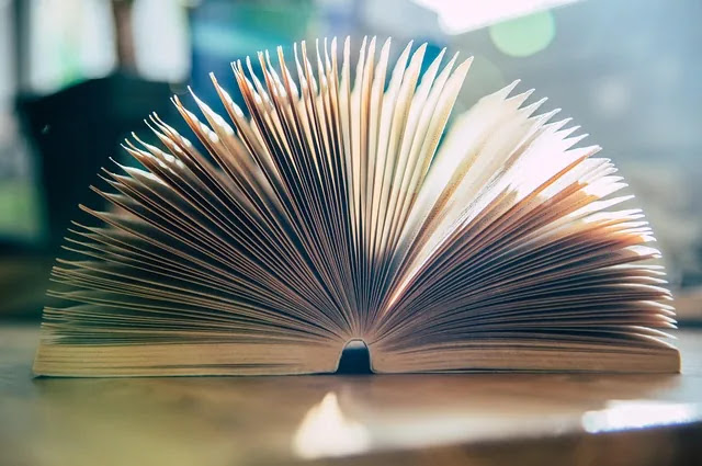 공부해도 성적이 바로 오르지 않는 이유