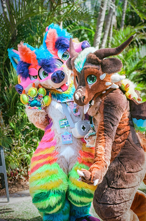 furdu-6 (1).jpg