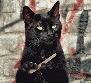 Cat-Nail-File