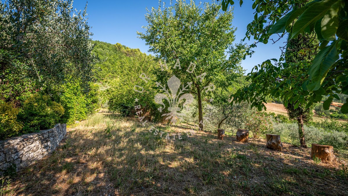 קזאלה דיי צ'ילייג'י (Casale dei Ciliegi) — 18