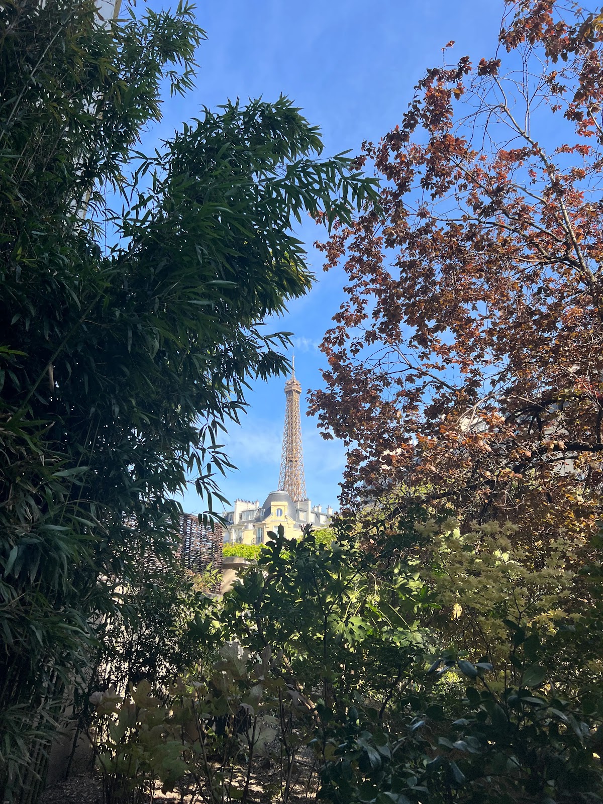 庭園