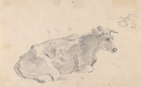 Study of a cow lying down and facing right
