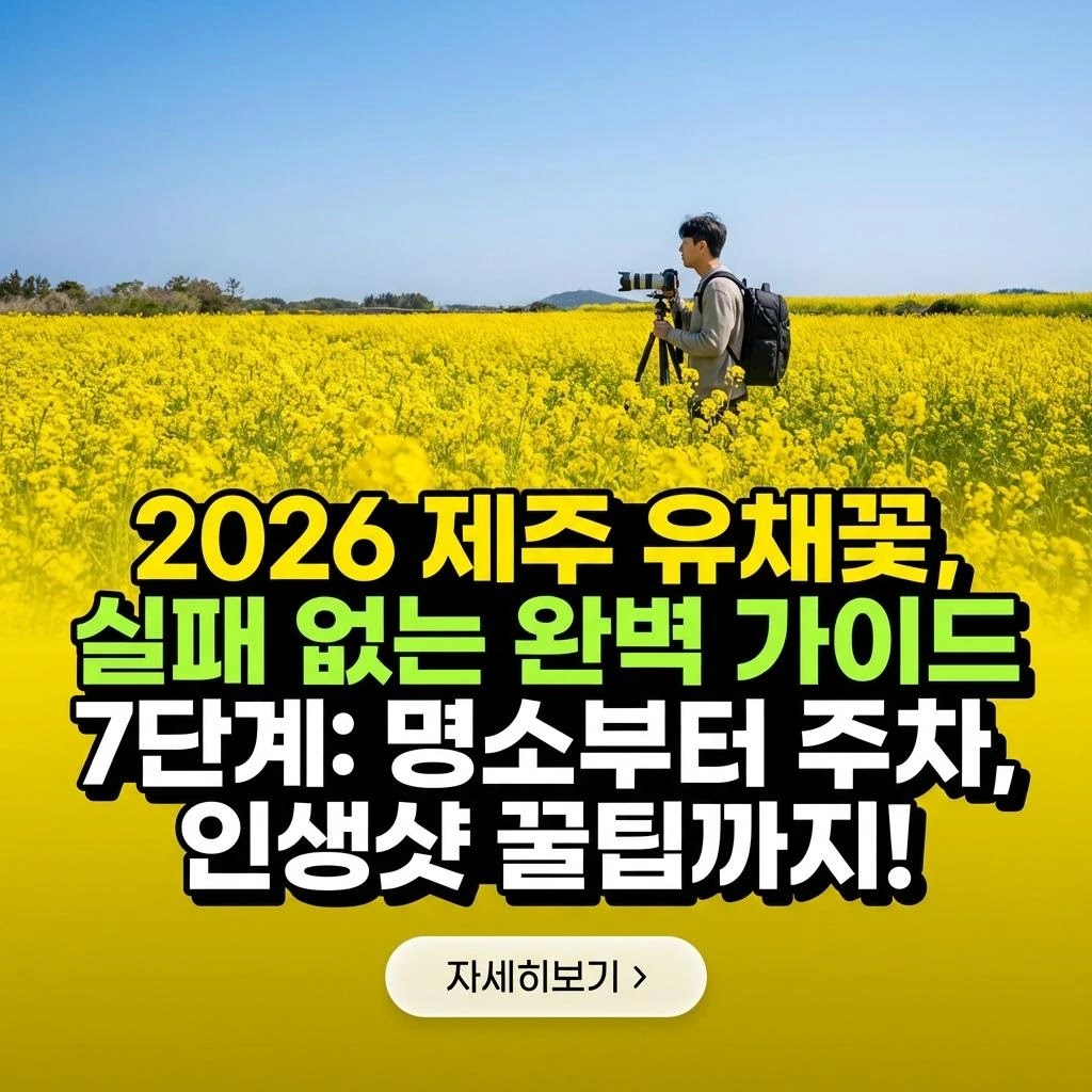 2026 제주 유채꽃, 실패 없는 완벽 가이드 7단계: 명소부터 주차, 인생샷 꿀팁까지!