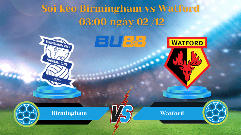 Nhận định bóng đá Trận đấu Birmingham - Watford