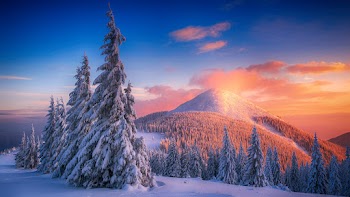 Winter Nature Wallpaper