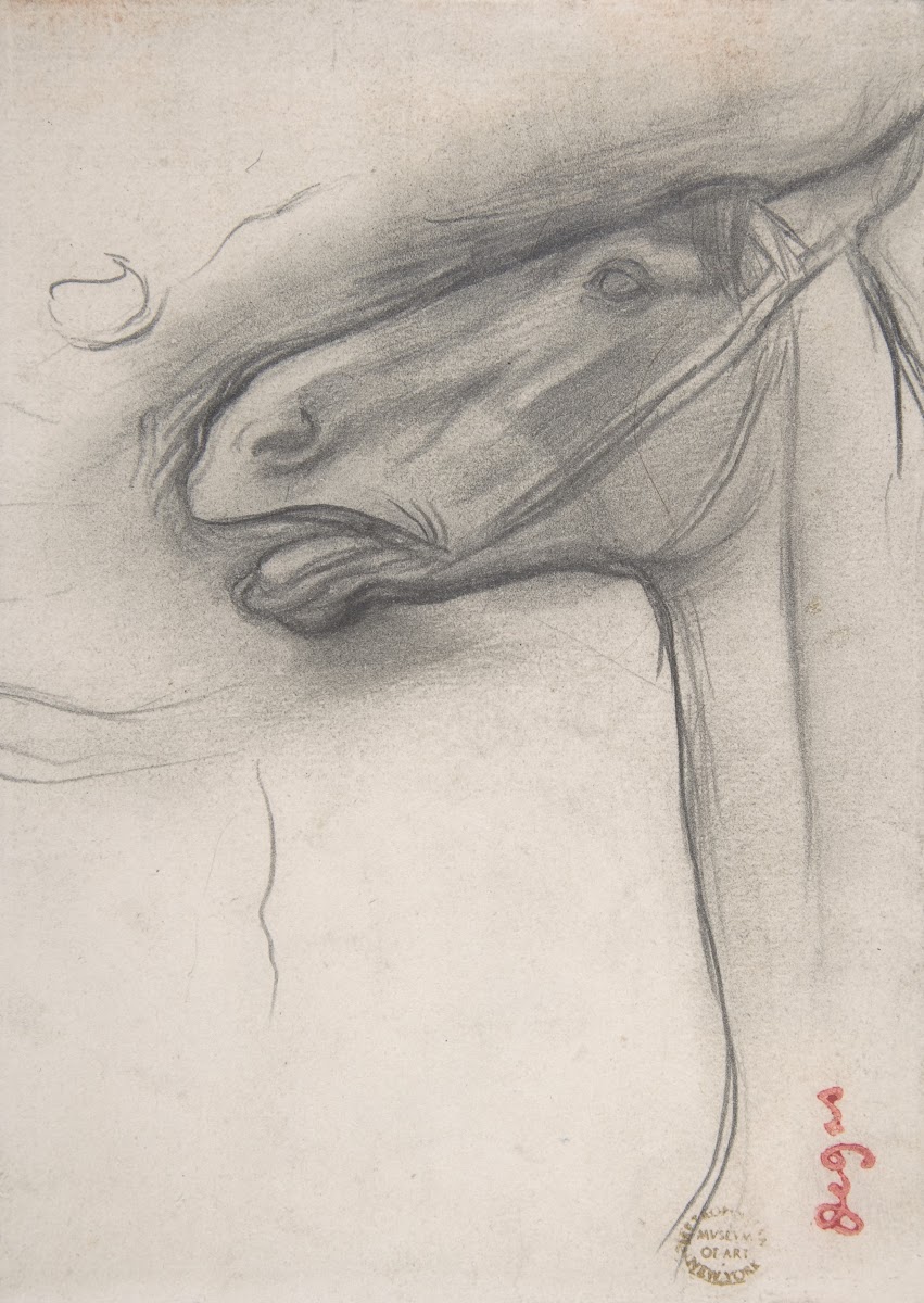 Head of a Horse ca 1878