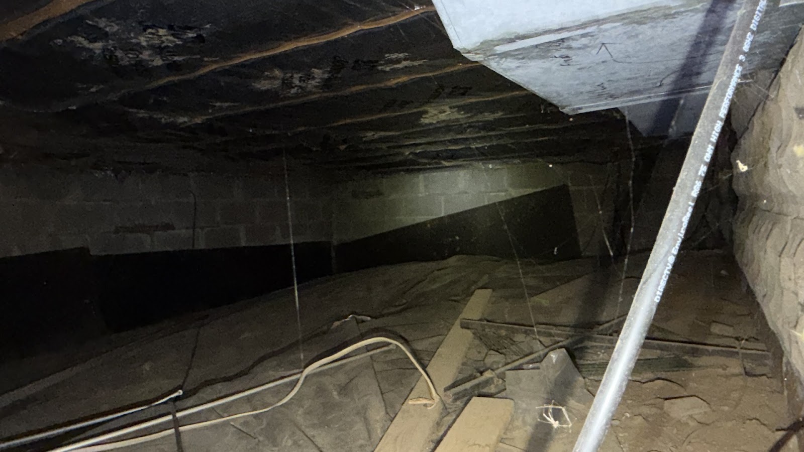 Copy of IMG_2026-03-13_14-48-26_674.jpg