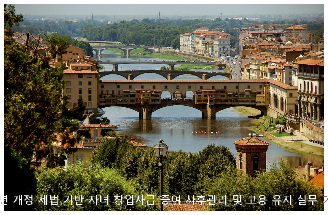 2026년 개정 세법 기반 자녀 창업자금 증여 사후관리 및 고용 유지 실무 가이드 핵심 안내 및 분석 인포그래픽 (6)