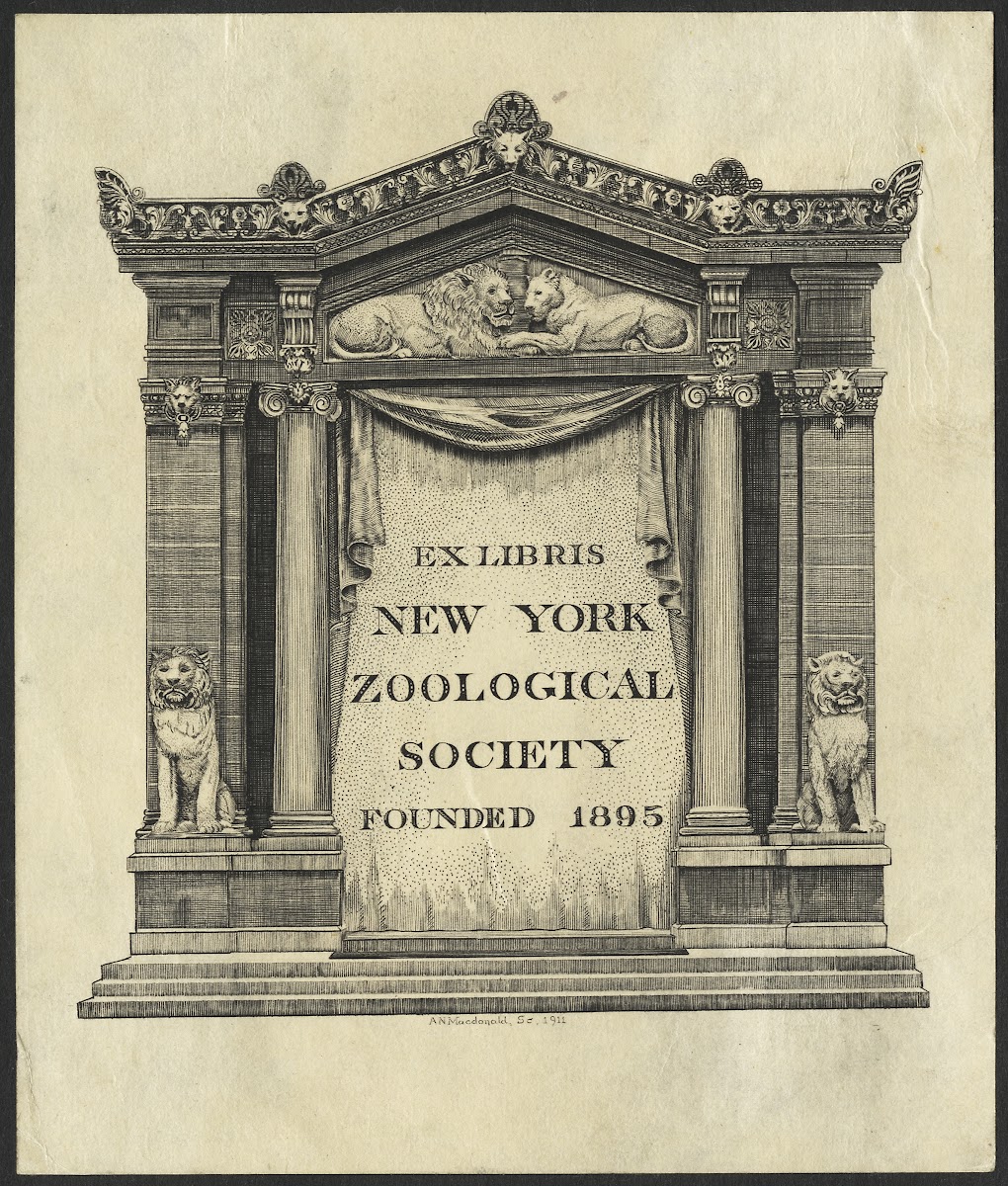 New York Zoological Society 1911