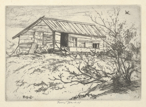 Hilltop Chickens 1900 1925