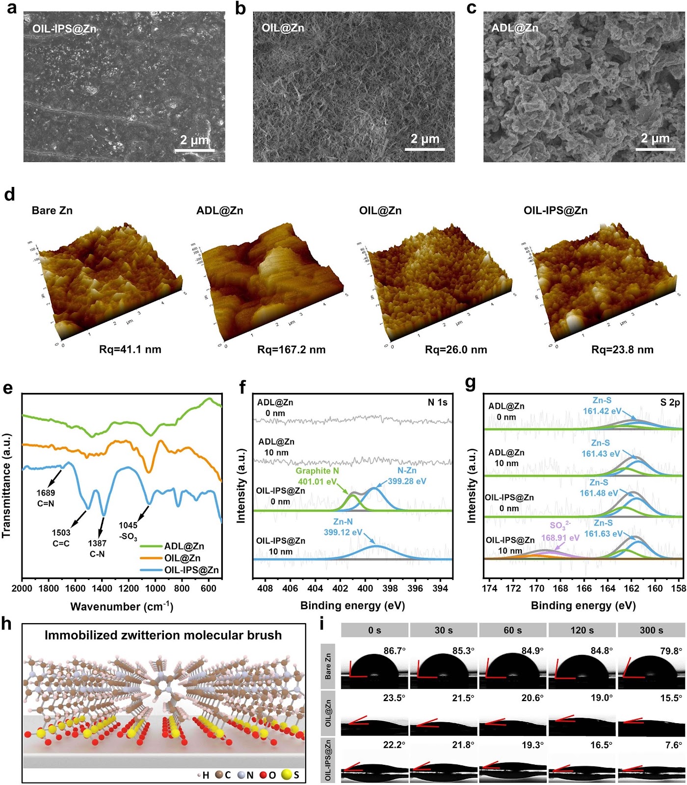 Immobilizing Zwitterionic Molecular Brush in Functional Organic Interfacial Layers for Ultra-Stable Zn-Ion Batteries