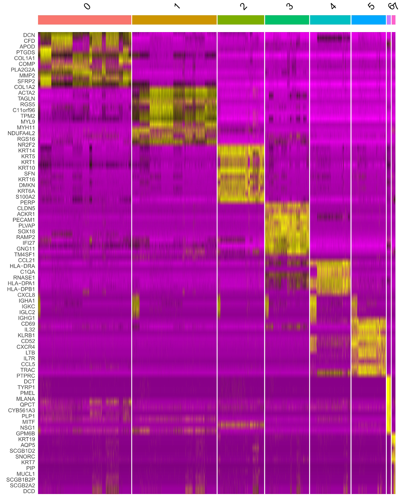 Biomarkers for diabetic foot ulcers: single-cell transcriptomics bioinformatics analysis and experimental validation