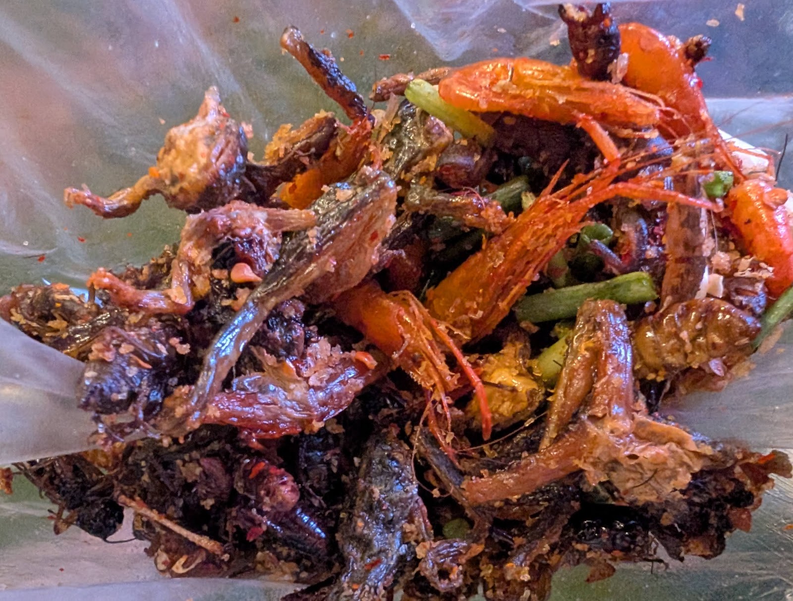 A clear plastic bag filled with seasoned creepy crawlies