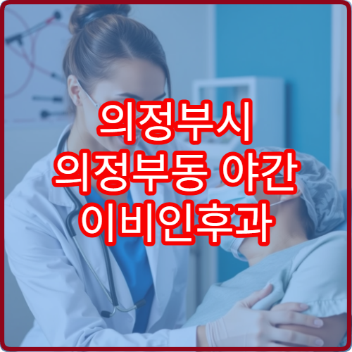 의정부시 의정부동 야간 이비인후과 인후통 비염 진료 병원 정리