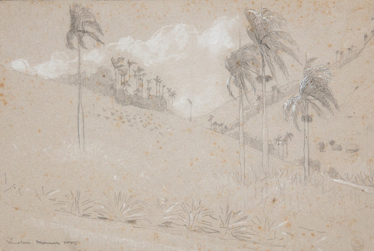 Cuban Hillside 1885