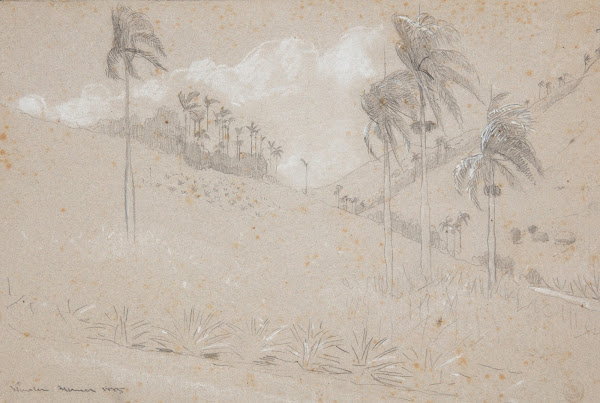 Cuban Hillside 1885