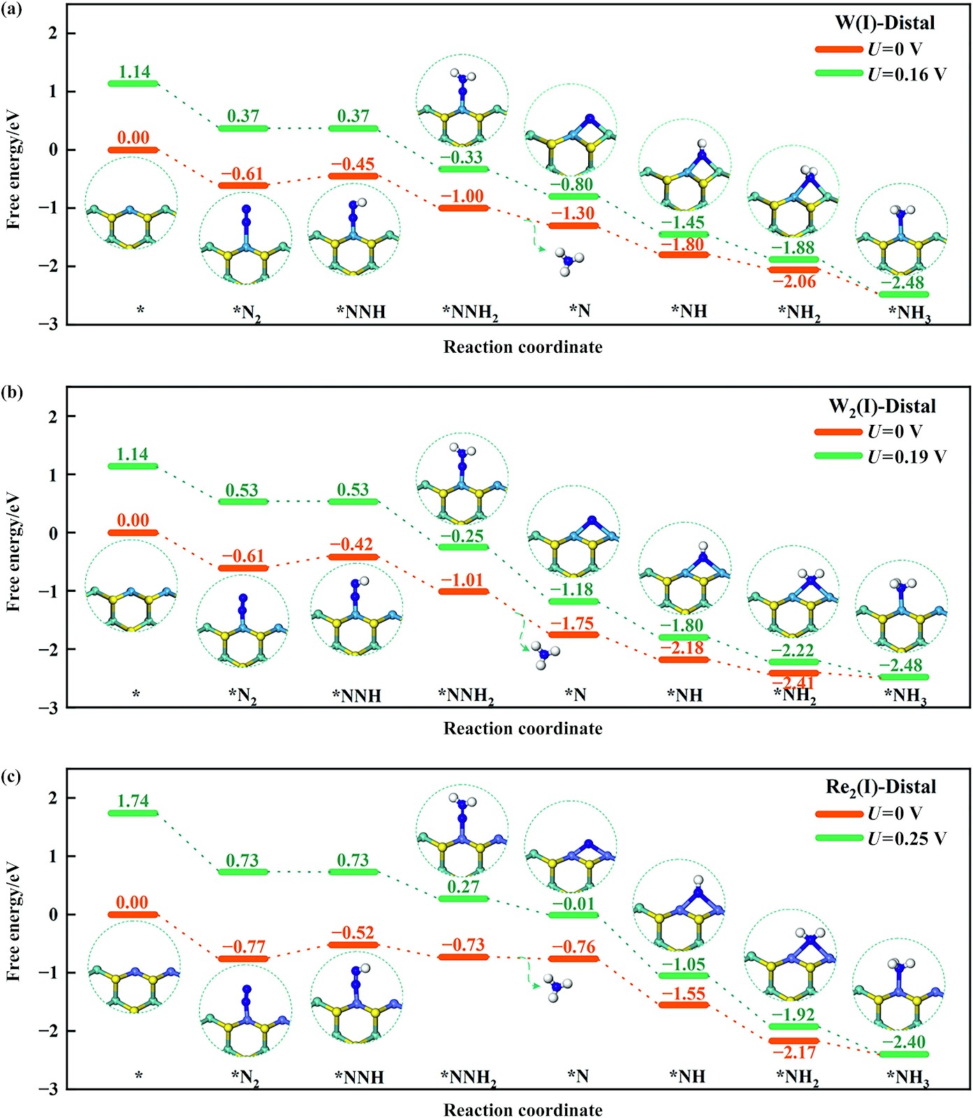 Active MoS2-based electrode for green ammonia synthesis