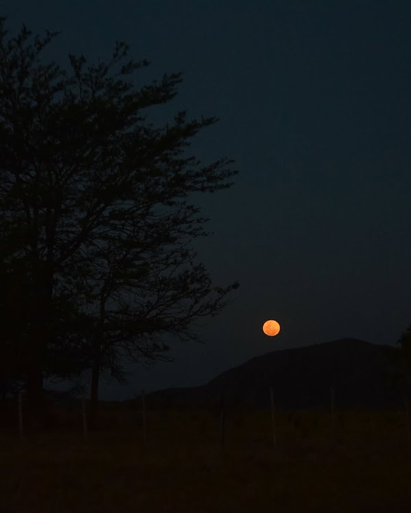 Luna Llena Especial