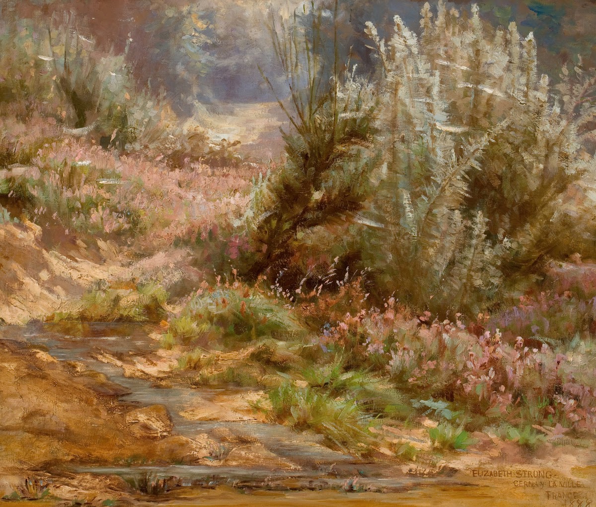 Wildflowers By A Stream 1888